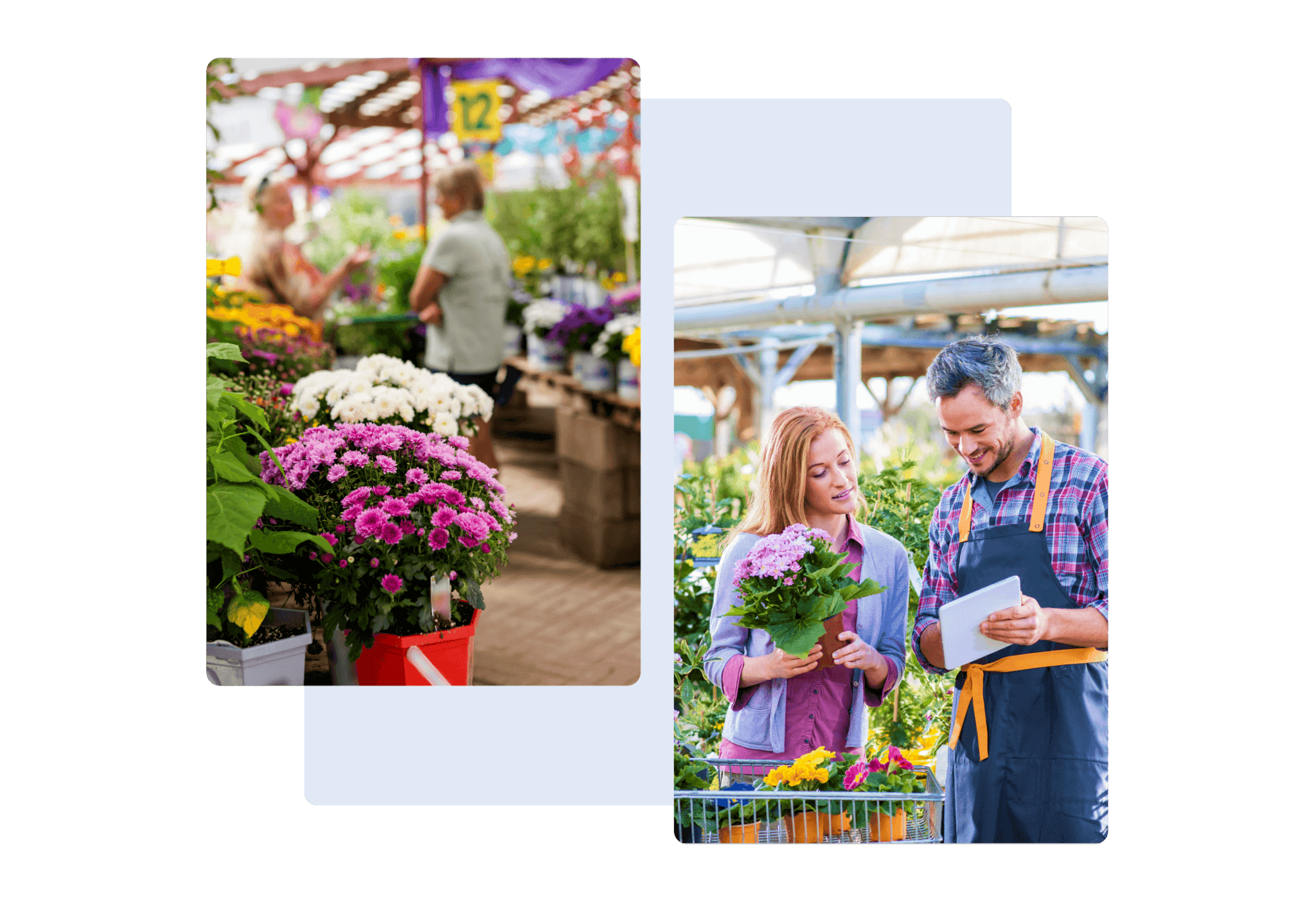 Lifestyle Retail Garden